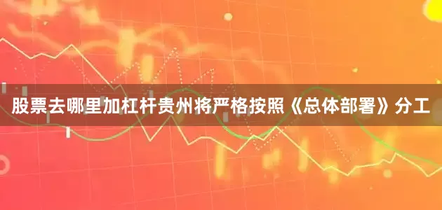 股票去哪里加杠杆贵州将严格按照《总体部署》分工
