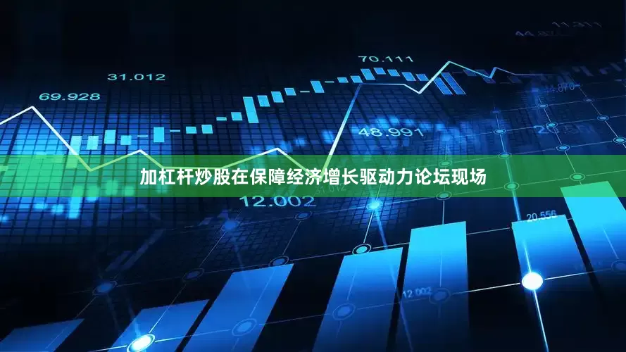 加杠杆炒股在保障经济增长驱动力论坛现场
