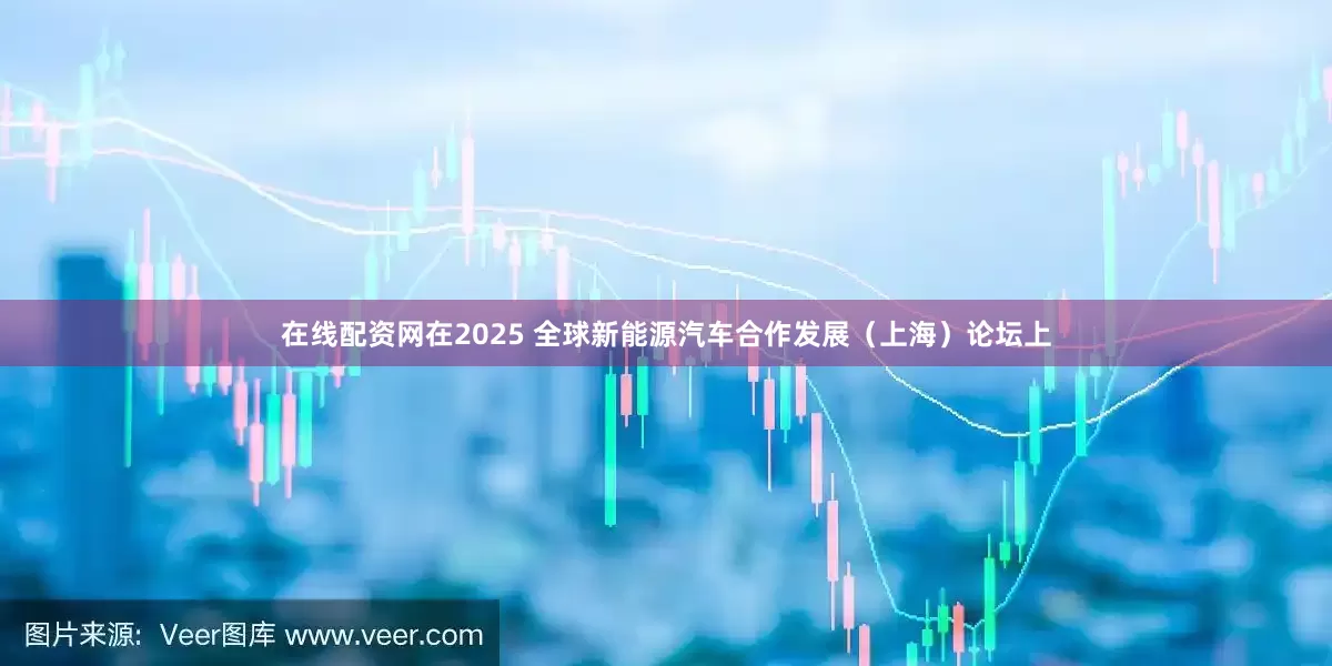 在线配资网在2025 全球新能源汽车合作发展（上海）论坛上