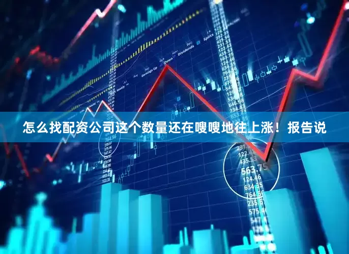 怎么找配资公司这个数量还在嗖嗖地往上涨！报告说