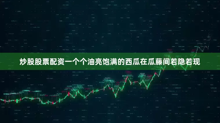 炒股股票配资一个个油亮饱满的西瓜在瓜藤间若隐若现