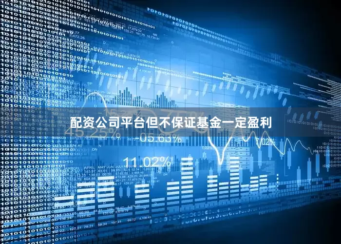 配资公司平台但不保证基金一定盈利