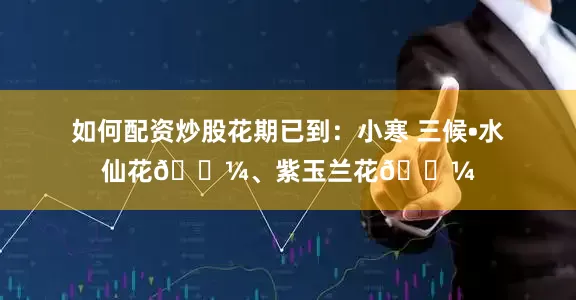 如何配资炒股花期已到：小寒 三候•水仙花🌼、紫玉兰花🌼